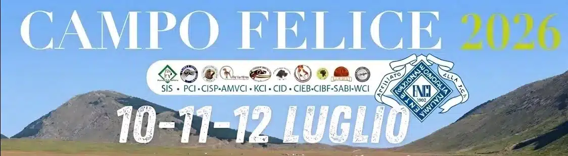 Enci village 2026 campo felice