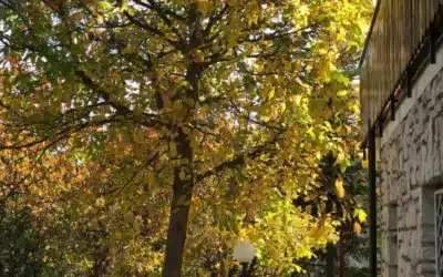 Villa Sere Rocca di Cambio 18 Ottobre Festival della Montagna – programma
