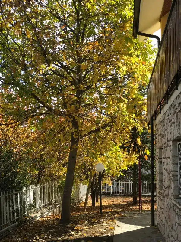 casa vacanze villa sere giardino in autunno casa vacanze villa sere giardino in autunno